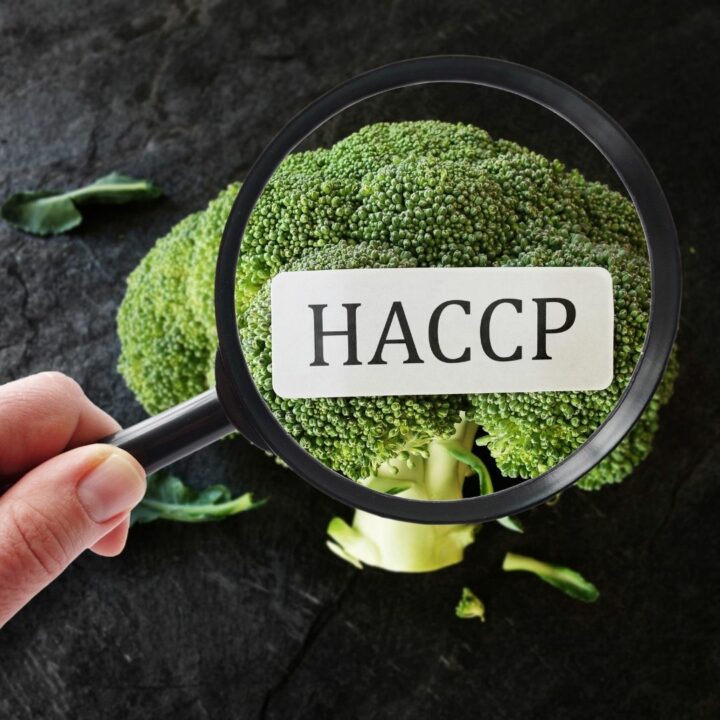 Lire la suite à propos de l’article Les bonnes pratiques d’hygiène alimentaire – HACCP
